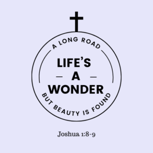 A Wonder_lifesawonder.com logo Life's A Wonder_logo